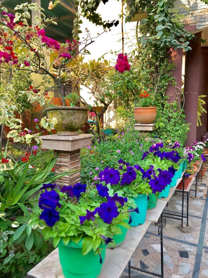 Bougainvillea Гувахати Экстерьер фото