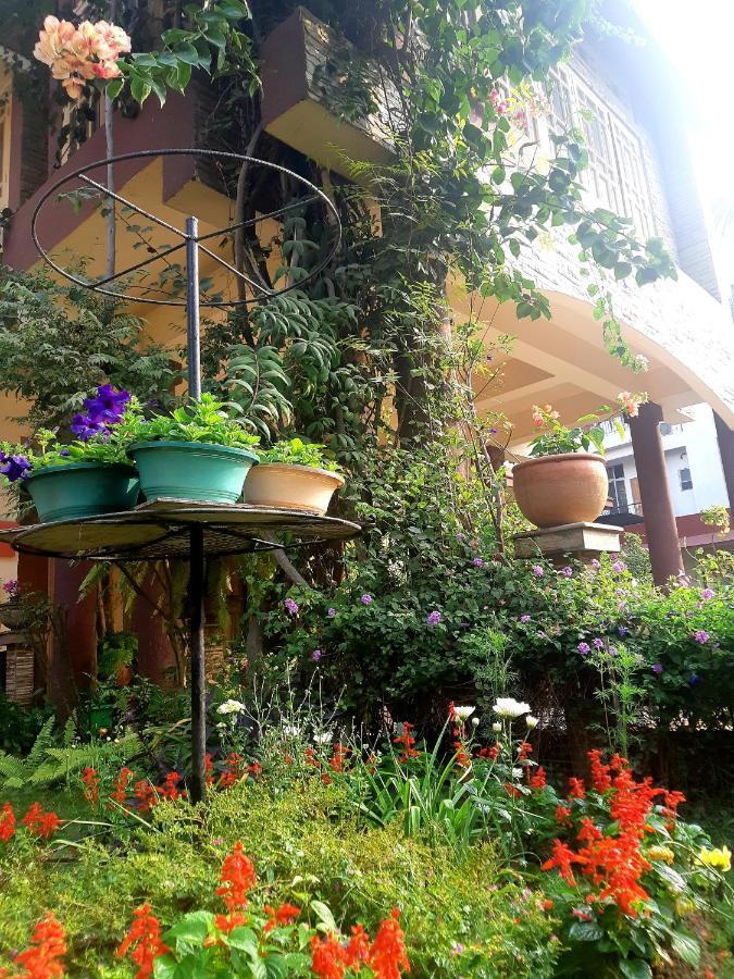 Bougainvillea Гувахати Экстерьер фото